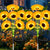 Solarbetriebene LED-Sonnenblumen-Gartenstehlampe mit wasserdichtem Panel und verstellbarem Stiel Brehn