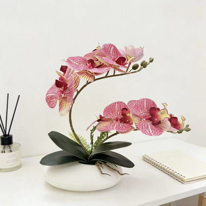 Lebensechter Orchideen-Mittelstück