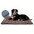 Hundebett