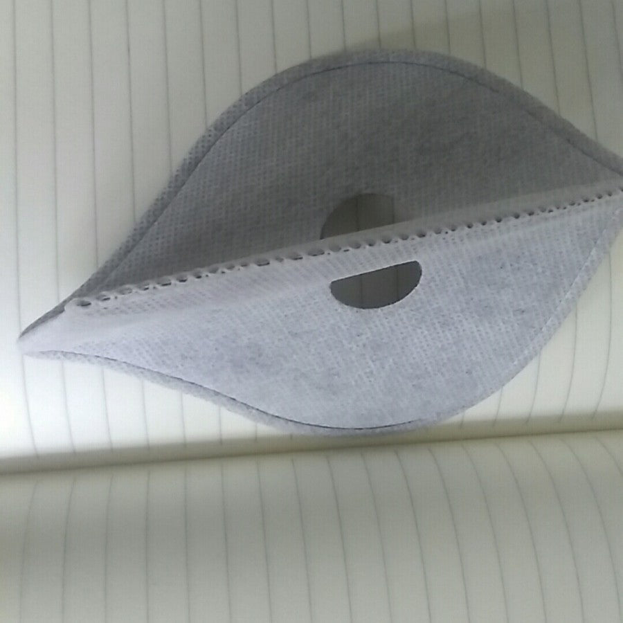 Anti-Dust Gesichtsmaskenfiltereinsatz Brehn