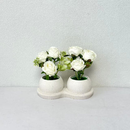 Elegante Blumenpflanzanordnung