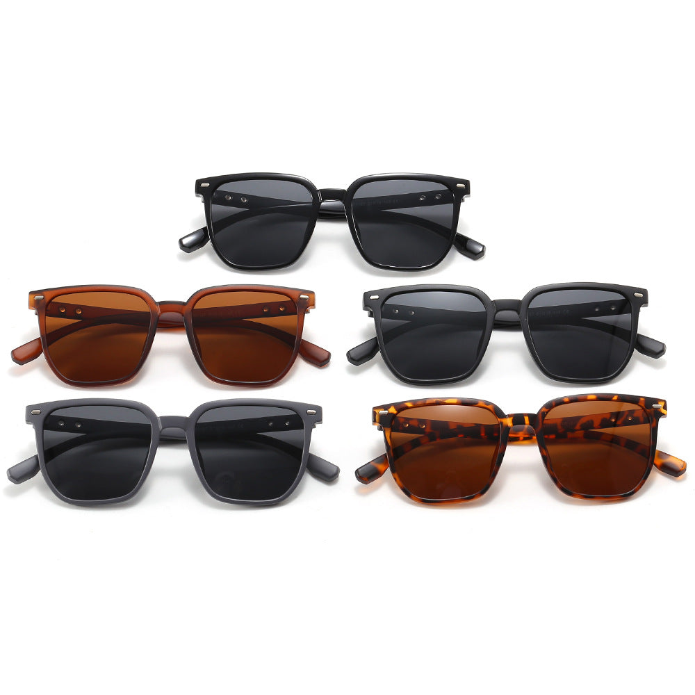 Damen modische Sonnenbrille im trendigen Schildpatt-Design Brehn
