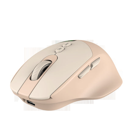 Ergonomische Funkmaus Brehn