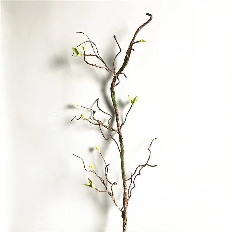 Dekorative natürliche Zweigarrangement