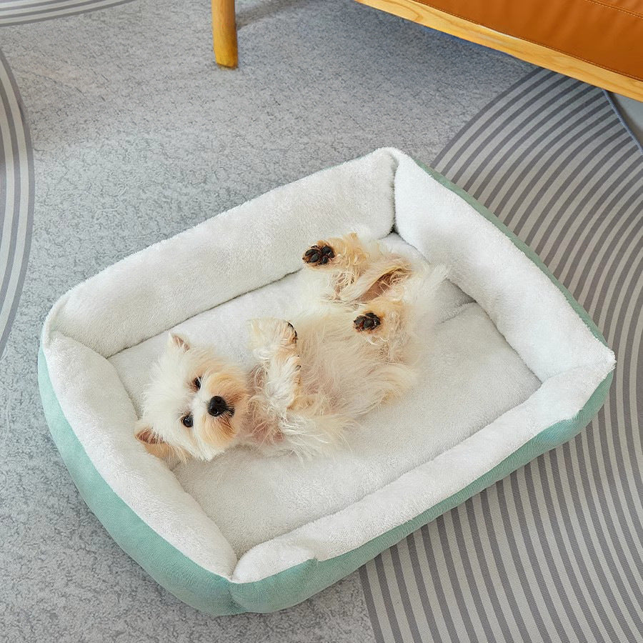 Luxuriöses Plüsch-Hundebett