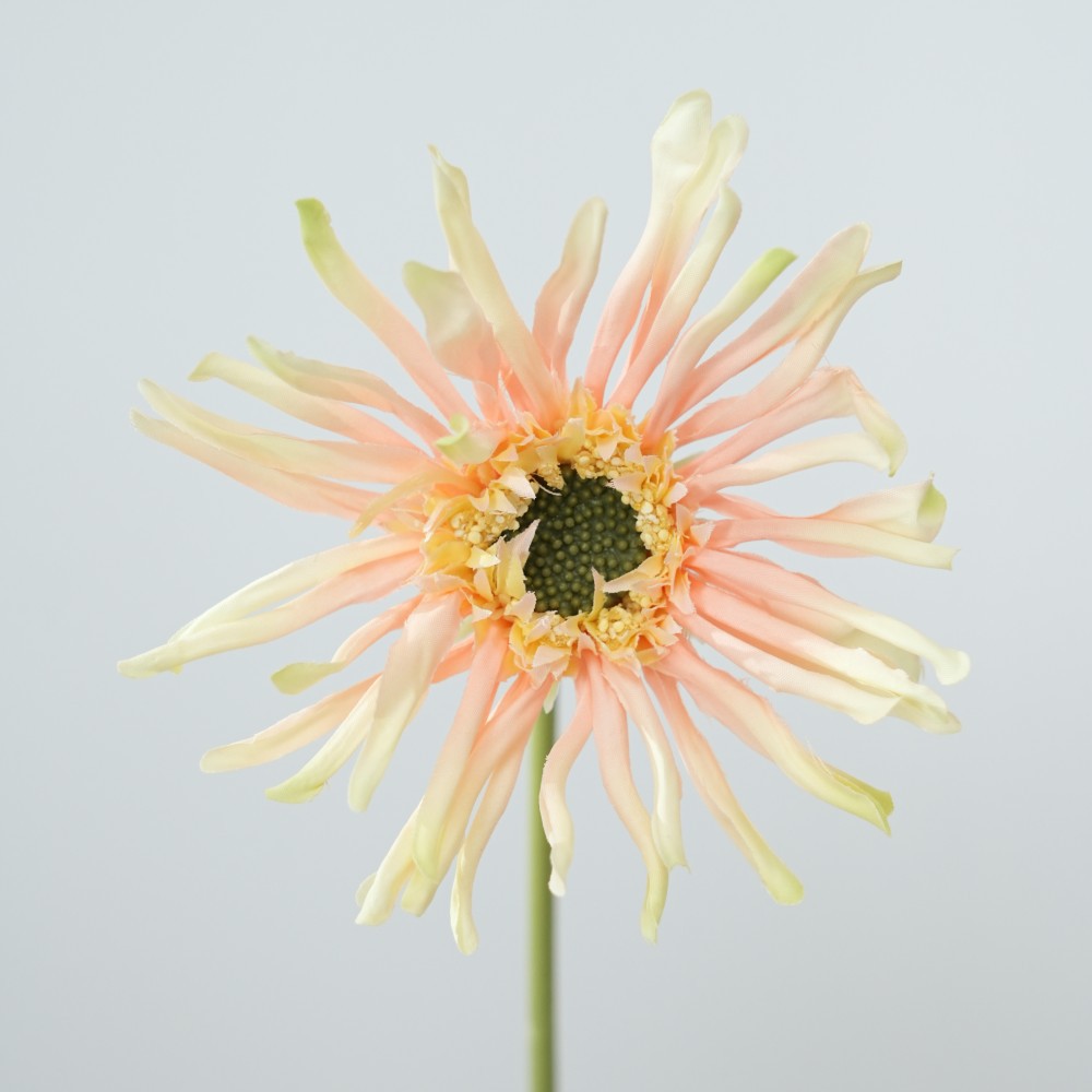 Realistische Sonnenblumenstängel