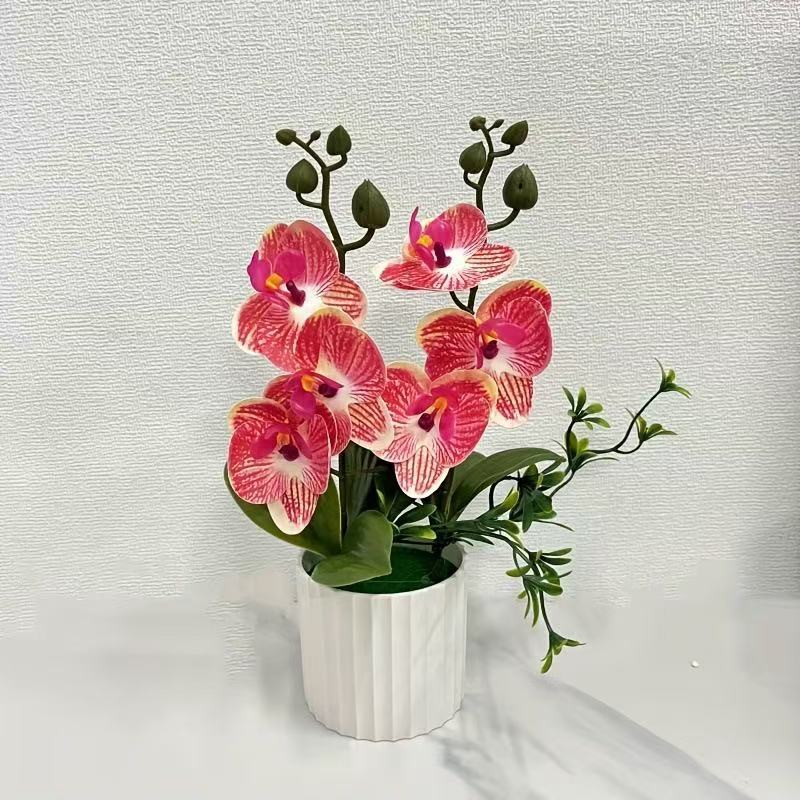 Elegante florale Orchideensträuße