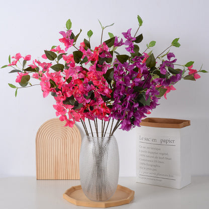 Dekorative Bougainvillea Blumenranke