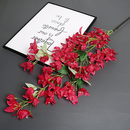 Bougainvillea Blumensstem für Wohnkultur-Display