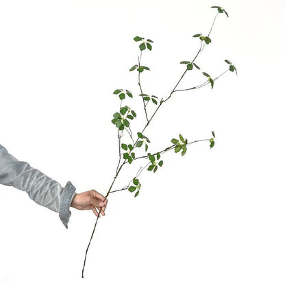 Dekorativer Blumenspross
