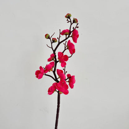 Kirschblüten Floral Stem