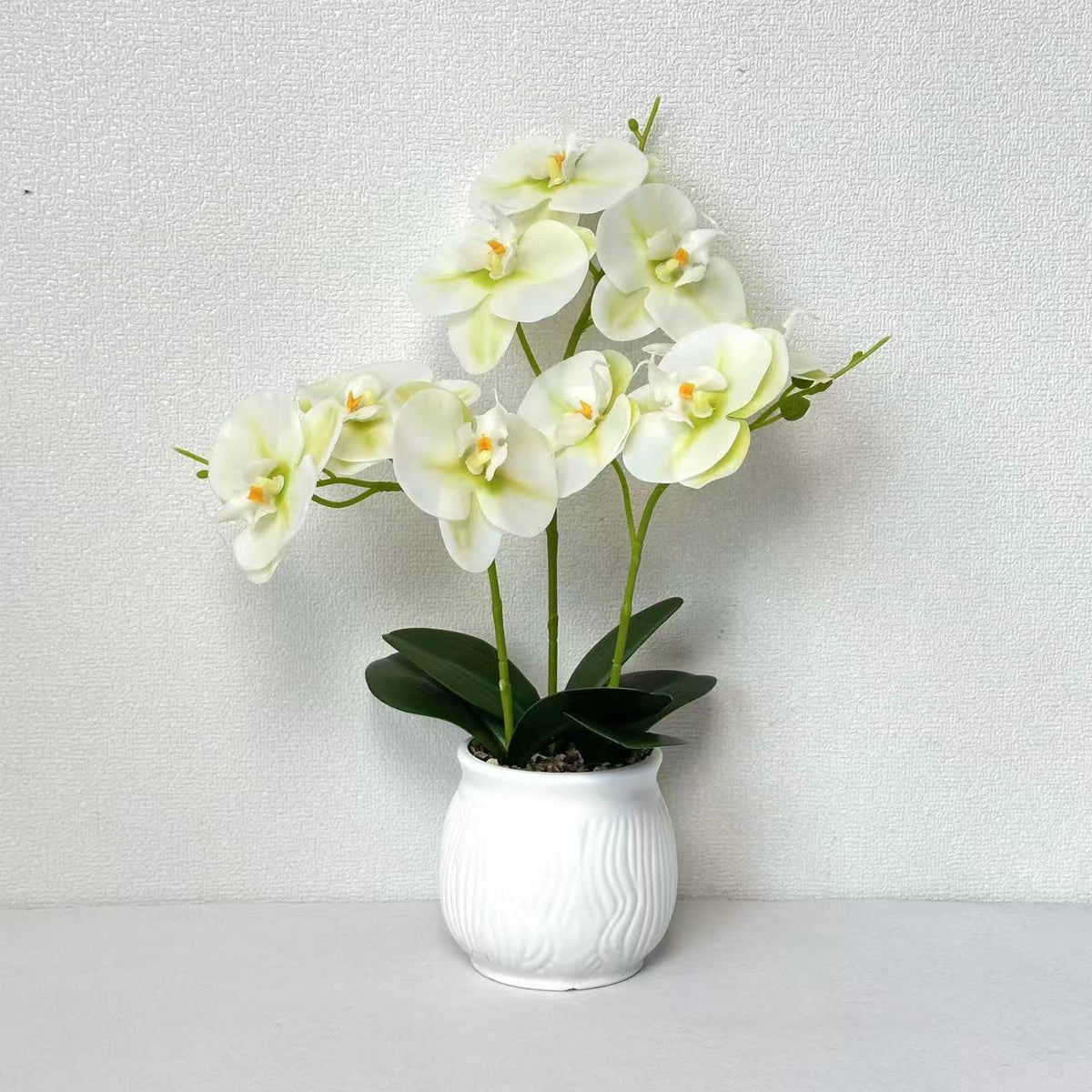 Elegante Orchideen Blumen Display