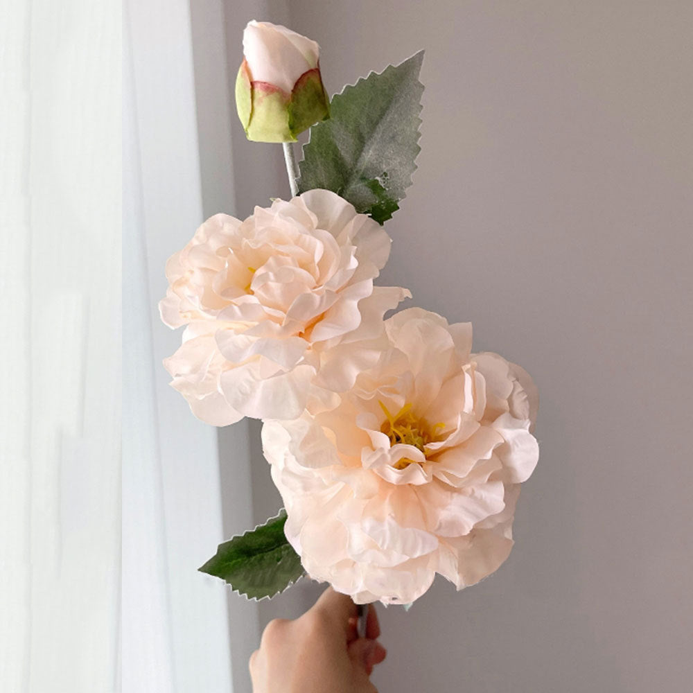 Realistische Pfingstrose Blumenstiel