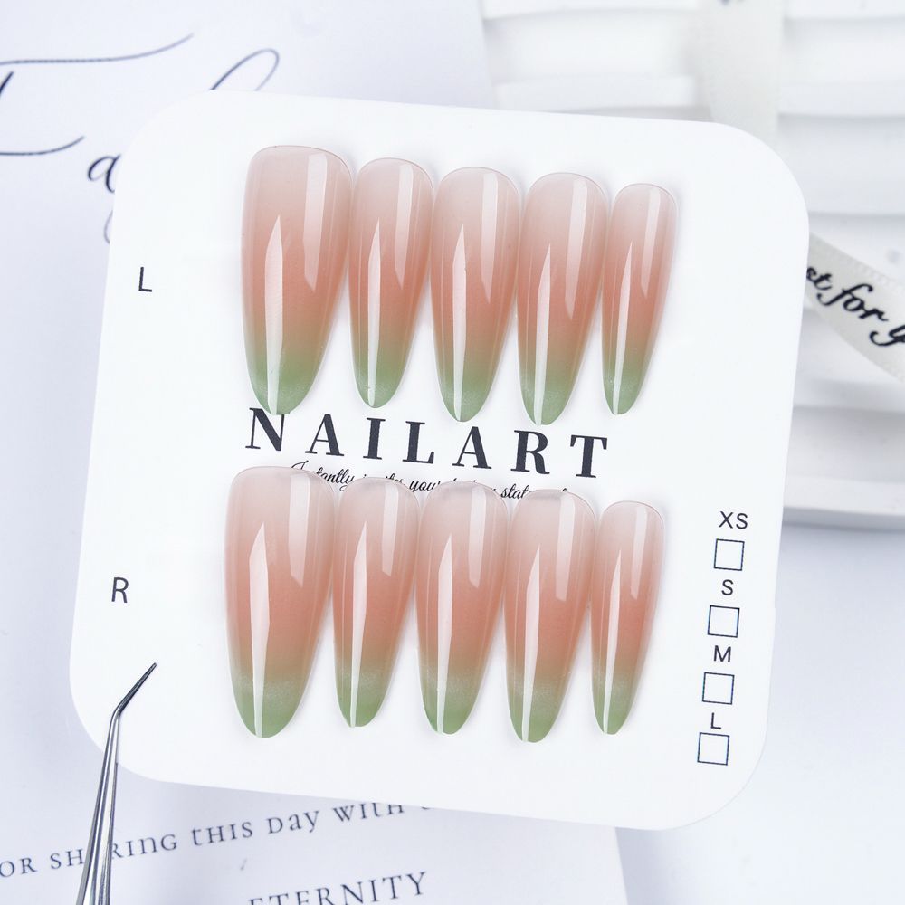 Künstlerisches Stiletto Press-On Nail Set mit floralen Verzierungen Brehn