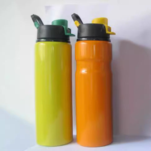 Isolierte Wasserflasche Brehn