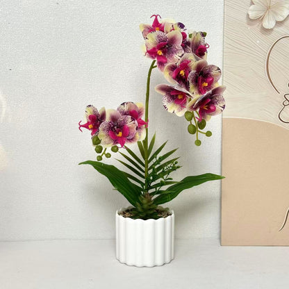 Lebensnahe Orchidee Wohnkultur für die Innendekoration