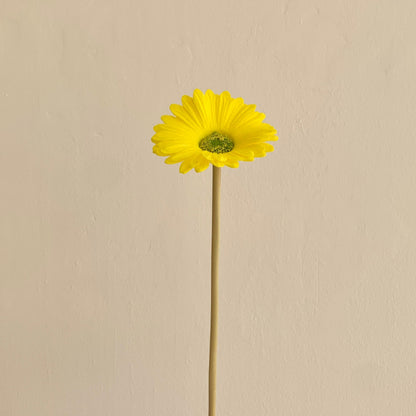 Dekorative künstliche Gerbera-Blume