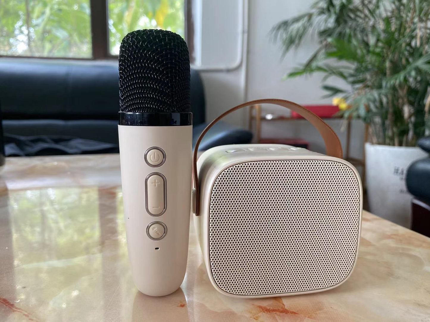 Tragbarer Bluetooth-Lautsprecher und Mikrofon Brehn