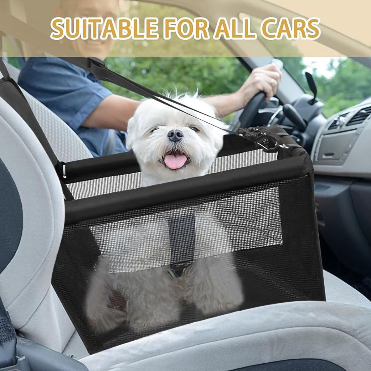 Sicherheitsautositz Für Hunde Brehn