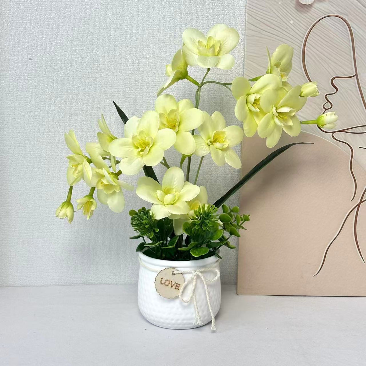 Dekorative Orchideenpflanze Anzeige