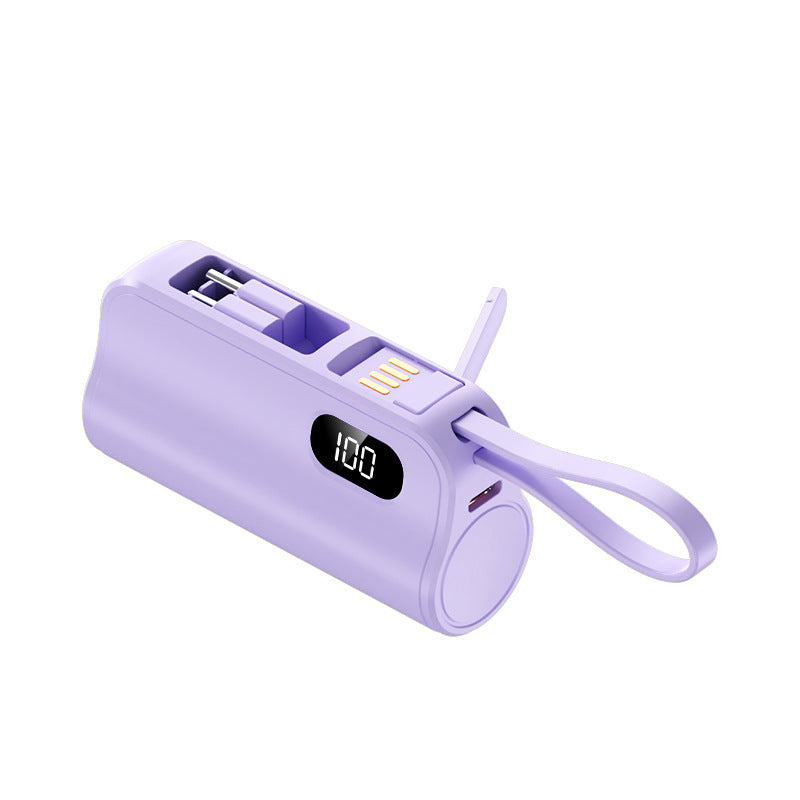 Tragbarer Powerbank mit LED-Anzeige Brehn