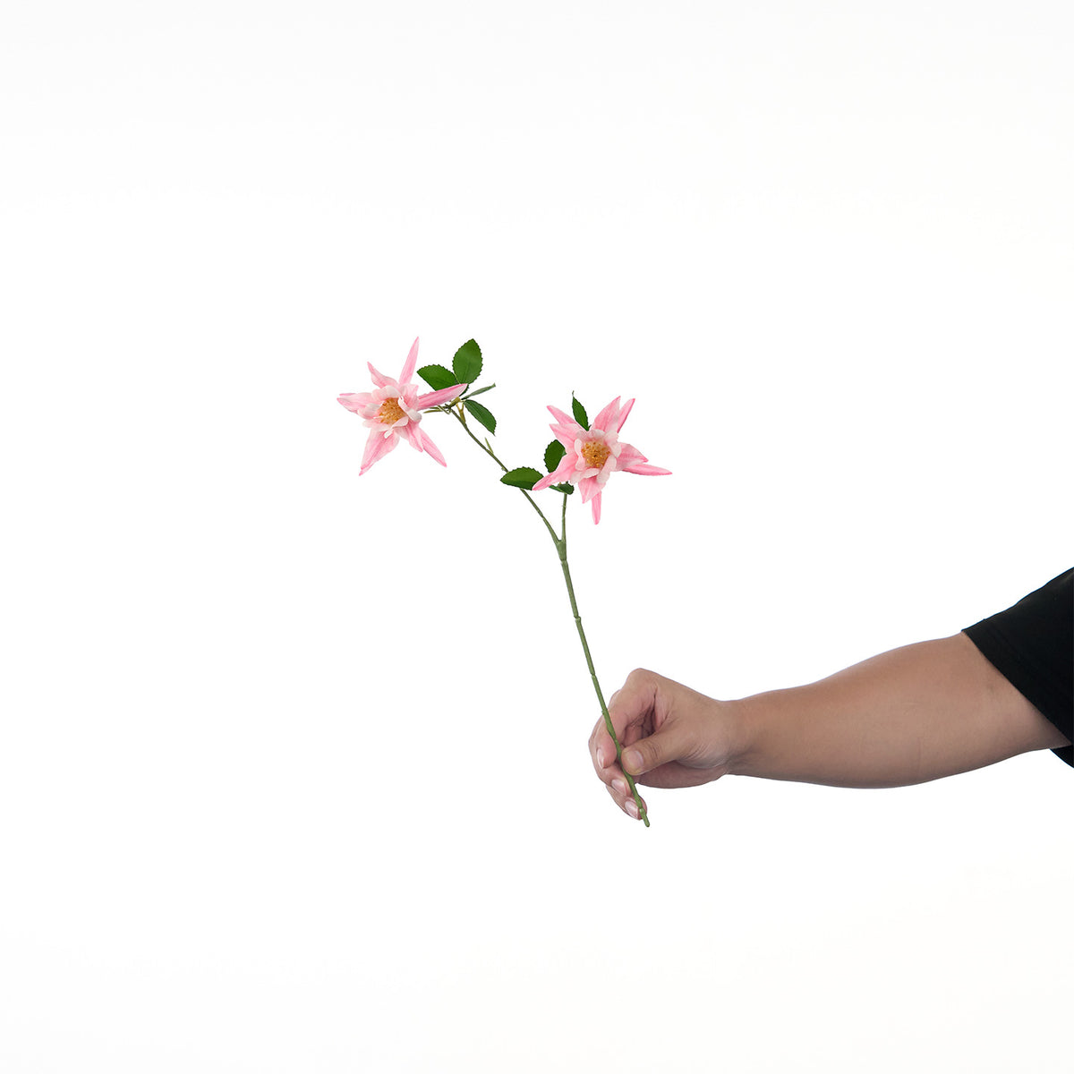 Lebensechte Mehrblütenblumenstiel