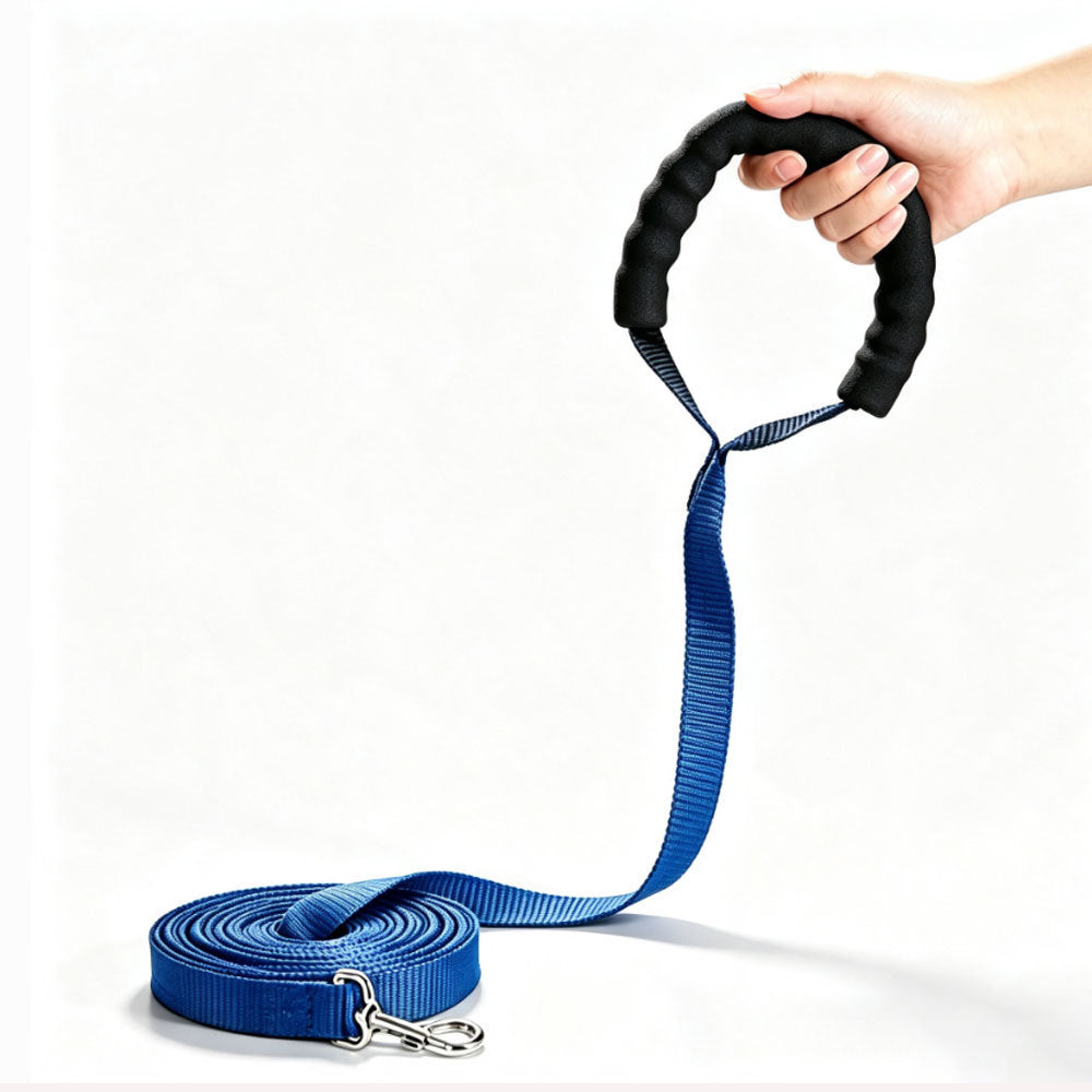 Hundetraining