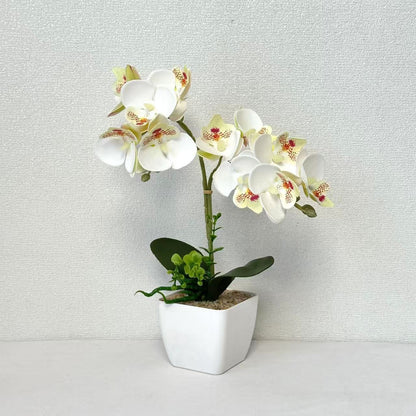 Künstliches Orchideenarrangement für die Wohnkultur-Darstellung
