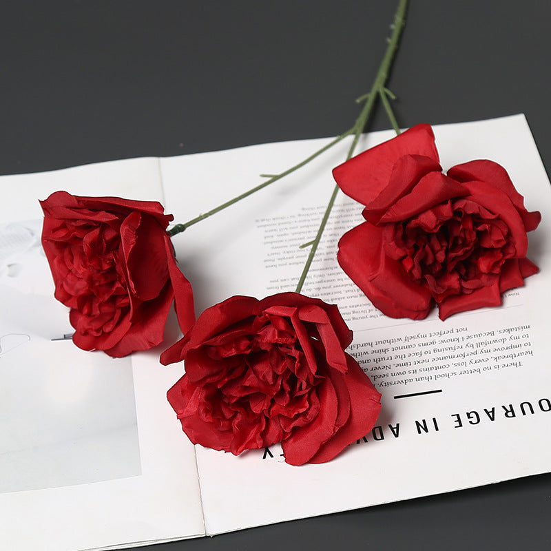 Elegante Pfingstrose Blumenstiel für die Heimdekoration