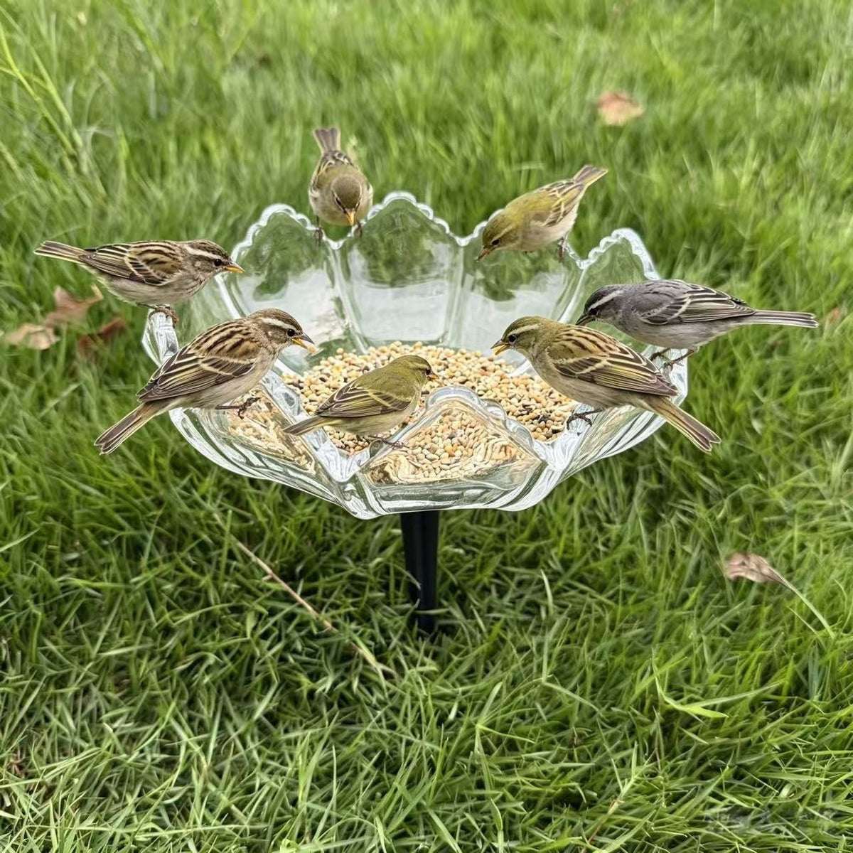 Elegante Vogel-Fütterungsstation Brehn