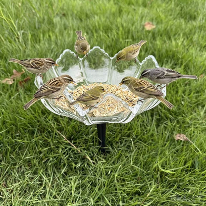 Elegante Vogel-Fütterungsstation Brehn