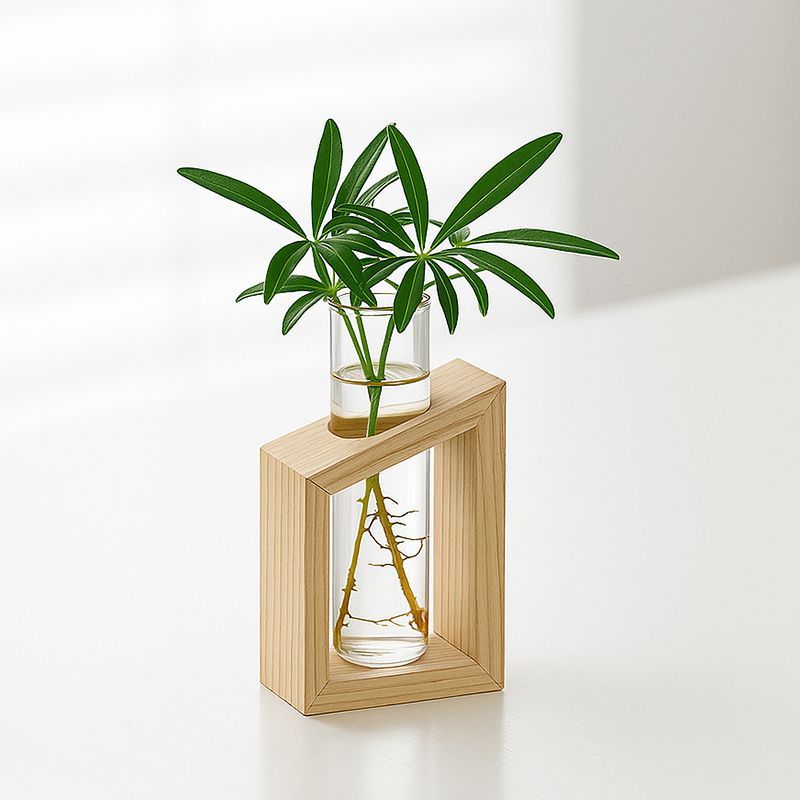 Elegantes Glas Pflanzenhalter-Set für die Wohnkultur