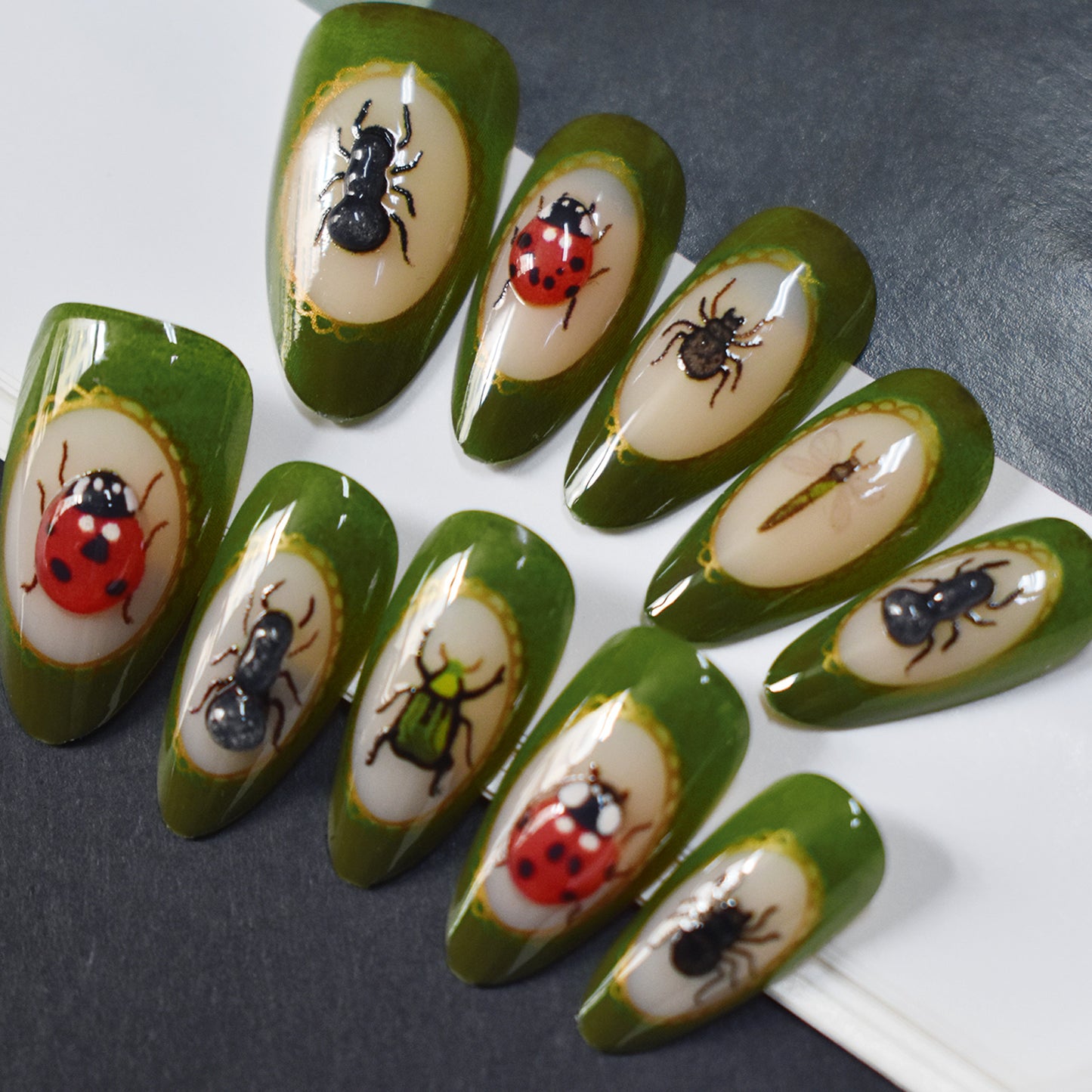 Künstlerische Insekten-verzierte Press-On Nagelkunst Brehn
