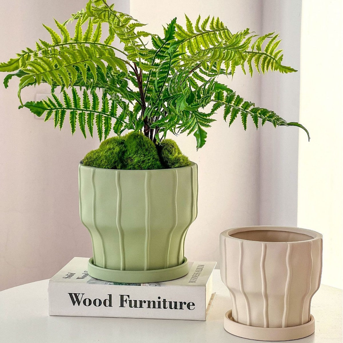 Eleganter Pflanzenkübel für schöne Indoor-Pflanzenarrangements