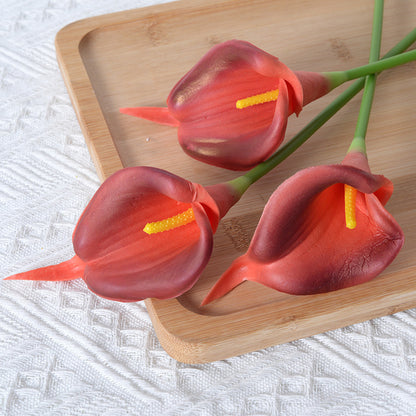 Dekorative Realistische Calla-Lilienstiele