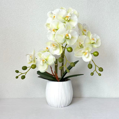 Realistische Orchideen Blumenarrangement