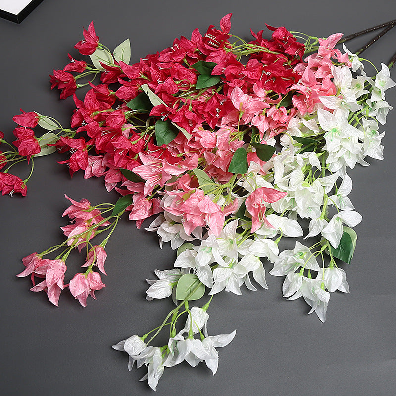 Bougainvillea Blumensstem für Wohnkultur-Display