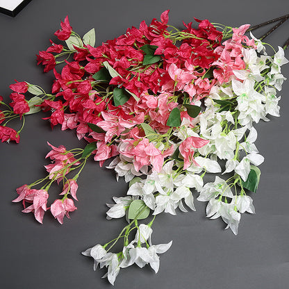 Bougainvillea Blumensstem für Wohnkultur-Display