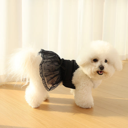Zartes Spitzen-Tüll-Hundekleid mit gerippter Taille & Dekoration