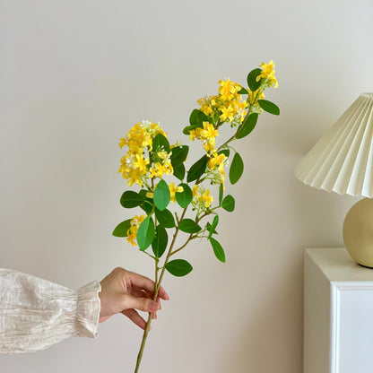 Dekorative Botanische Stängelanordnung