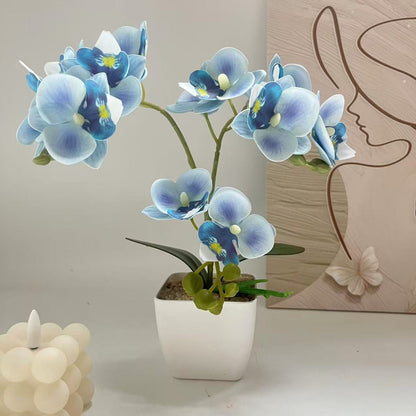 Lebensechte Orchideenpflanzenanordnung für die Heimpräsentation