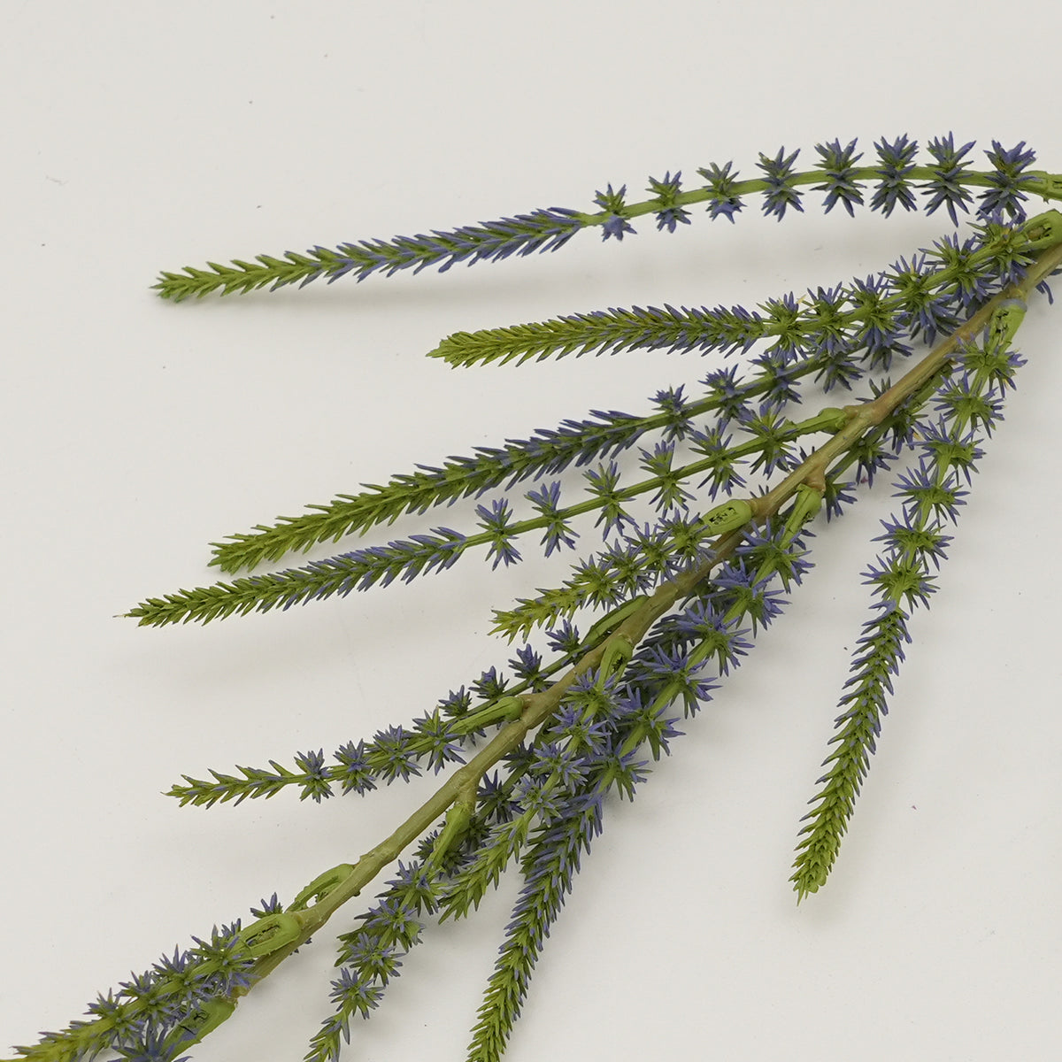 Dekorative Botanische Stiel