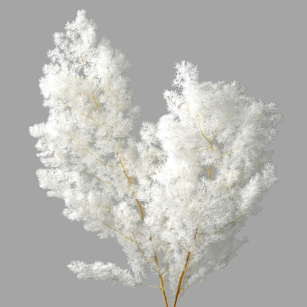 Dekorative Trockenpflanzenarrangement