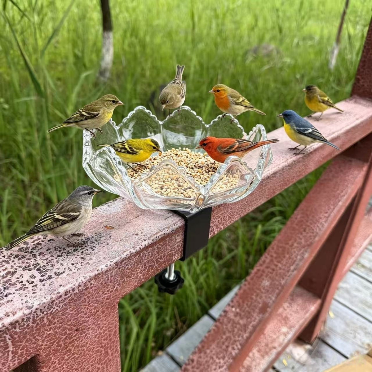 Elegante Vogel-Fütterungsstation Brehn