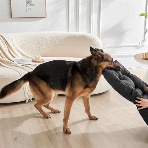 Hunde Bett Brehn
