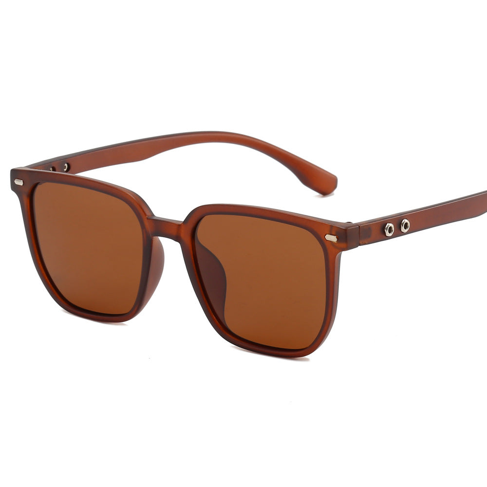 Damen modische Sonnenbrille im trendigen Schildpatt-Design Brehn