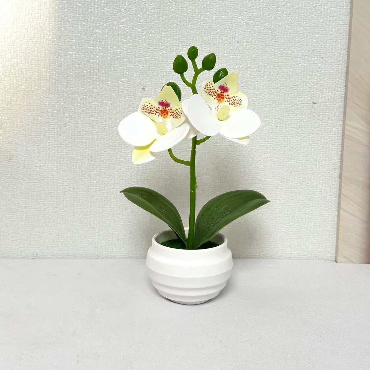 Lebensechte dekorative Orchideenpflanzenarrangement für die Wohnkultur