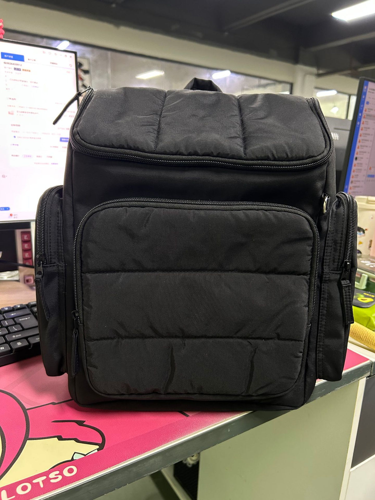Isolierter Mehrfach-Taschen-Rucksack Brehn