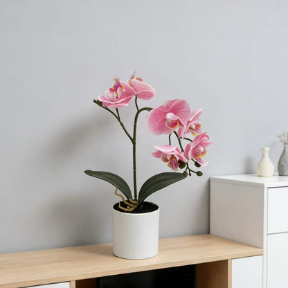Lifelike Phalaenopsis-Orchideenpflanzenanordnung