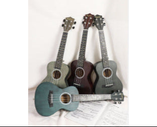 Anfängerfreundliche Sopran-Ukulele Brehn